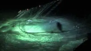 بـــدح قطــر BDH Qatar