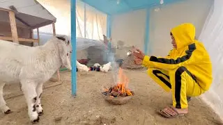 Хозяин, клетка загорелась 😱 Сегодня очень холодно.