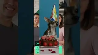 5 PAWSOME Dog Birthday Quotes To Make Them WAG Their Tails!