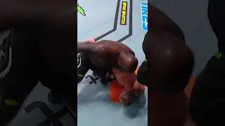 The BEST of Derrick Lewis! 👊