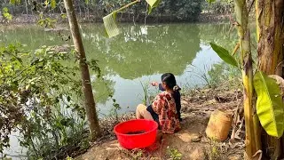 Fish Hunting || If you observe village girl's fishing technique, you too can learn how to catch fish