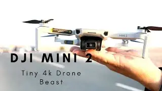 Dji Mini 2 || Tiny 4k Drone Beast Review in Dubai - UAE - Buy DJI Mini 2 in Dubai - UAE- alGadgets