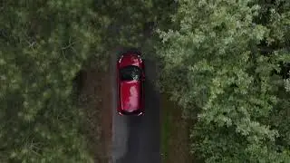 Aerial View of Red Car Driving on Forest Road