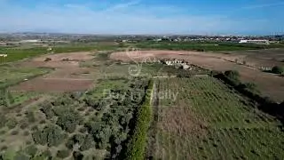 Meraviglioso terreno coltivato a vigneto ed uliveto con villa e fabbricati rurali, sito a Siracusa.