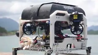 HKUST ROV 2017 - BELUGA
