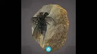Sketchfab Cultural Heritage Weekly Top 10 3D Models 2021 Week 18