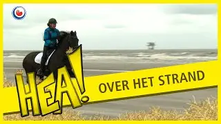HEA! In galop over het strand