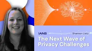 AI Privacy: Why Organizations Must Act Now