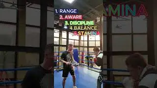 #Shorts #5thingsproboxerdo #boxing #proboxing #cockybuffaloboxing