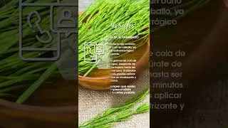 Hemorroides remedio natural cuando sangran, Cl&iacute;nica Madrid Vascular, Dr. Chocr&oacute;n.