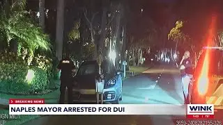 Naples Mayor Teresa Heitmann arrested for DUI, BAC twice over legal limit