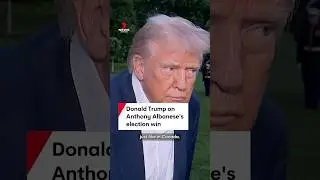 Donald Trump reacts to Anthony Albanese's election win