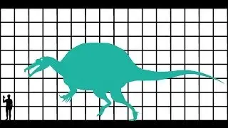 Pivot | Dinosaur Size Chart