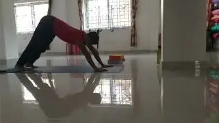 Shoulder strength Dolphin pose  prepare for Sirasasana