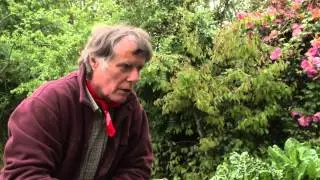 Growing Vegetables ' The art of watering seedlings and slug prevention' video 1