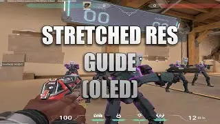 2025 TRUE STRETCHED RES FOR VALORANT - Guide (OLED DSC)