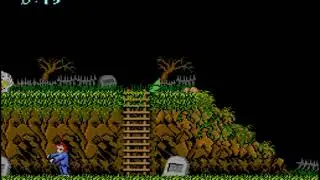 Ghosts'n Goblins(arcade)_Time glitch and cut character