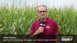 Dale Cowan, Agronomy Strategy Manager and Senior Agronomist talks about the 15th annual Crop Tour.