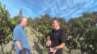 Meteorologist Chuck Heaver - Napa (Weather & Wine)