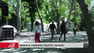 Sectorul 6, tratamente importiva capuselor
