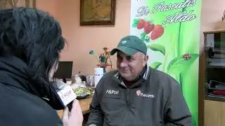 Rogo a Scanzano Jonico: parlano i titolari dell'azienda De Pascalis