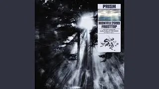 PRISM