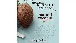 BioSilk Silk Therapy Dog Detangler Spray Review: Worth It for Tangles & Coat Care?