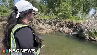 Forensics team investigating indigenous cold cases