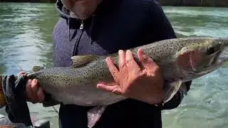 UMPQUA 2025