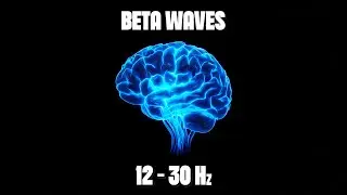 Neural Recharge ⚡ | Beta Waves 🧠🔥 Focus, Energy & Mental Performance (Binaural Beats)