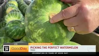 We're Picking the Best Watermelon with Produce Man Michael Marks!