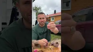 Kiwi trying viking kinas in Norway  #scubadiving #fishing #wildlife
