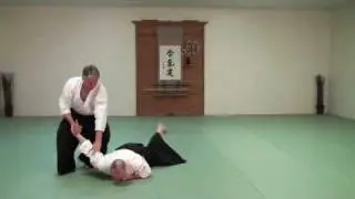 Basic Kata Tori Nikyo