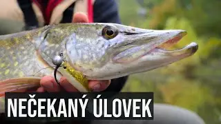 NEČEKANÝ úlovek při lovu ŠTIK na řece | Uhodnete rybu?