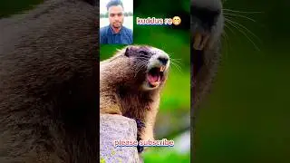 ভাইরাল কুদ্দুস ভিডিও!!kuddus Re#kuddus #shortsvideo #viralvideo#subscribe #youtubeshorts #tanding