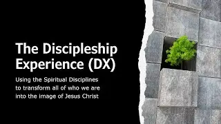The Discipleship Experience (DX)