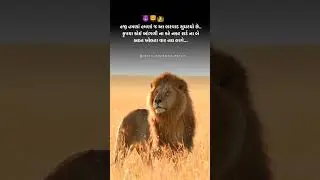 Bharwad Attitude Status || Maldhari Attitude Status || #bharwad #maldhari #rabari #ahir #charan