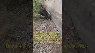 Директором Школы Гимназий № 6 назначена Бокишева Гаухар часть 2 #Бокишева_Гаухар #алматы #shorts