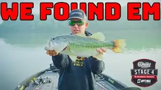 Are These The Winning Fish? - Chickamauga Practice - (Trimmed Up E21S3)