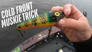 COLD FRONT MUSKIES - (LEARN TRICKS)