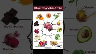 11 Foods That Boost Brain Power and Improve Cognitive Function