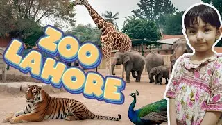 Lahore Zoo Tour | A Journey Through Pakistan&rsquo;s Oldest and Largest Zoo | Playtime With Areeba