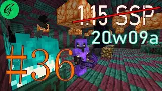 Minecraft 1.15/20w09a SSP #36