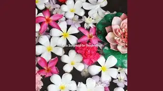 Opulent Music for Nature Sounds