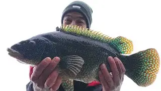 Pêche en mer du bord au flotteur l'hiver