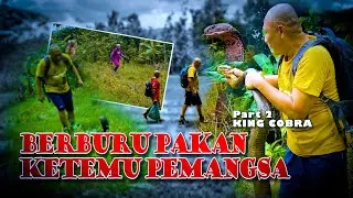 BERBURU PAKAN KETEMU PEMANGSA Part 2 KING COBRA
