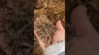 Top dressing and sowing next season&rsquo;s food. #motherearth #regenerativeag #mothernature