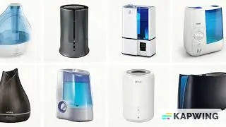 What Is The Best Humidity