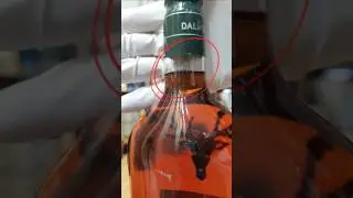 달모어 15 가품 발견! 정품과 비교 리뷰 Dalmore 15: Fake vs Real! Is Your Whisky the Real Deal?