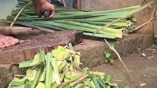 Village Farmer Cutting Leaves with Sharp Tools #RuralAgriculture #TraditionalFarming